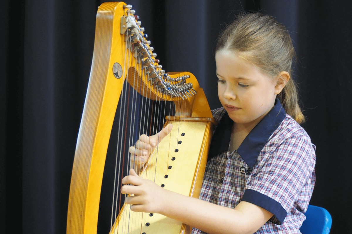 Harp lessons now available!